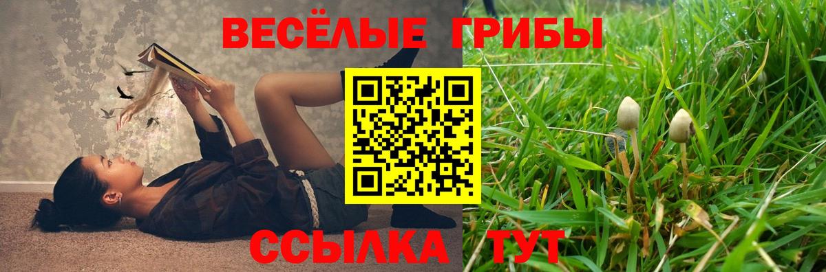 Галлюциногенные грибы Cubensis  Вход с VPN  Шали 